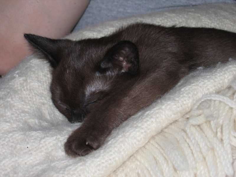 Mommy blanket