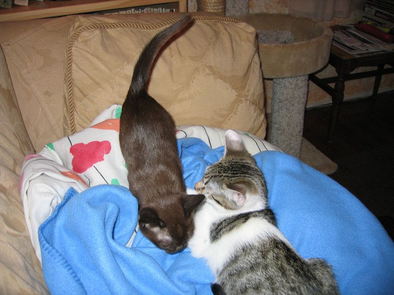 Trusting each other