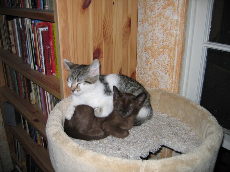 Curled up together