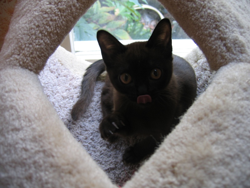 Stick your tongue out at the camera, too, Sylvie