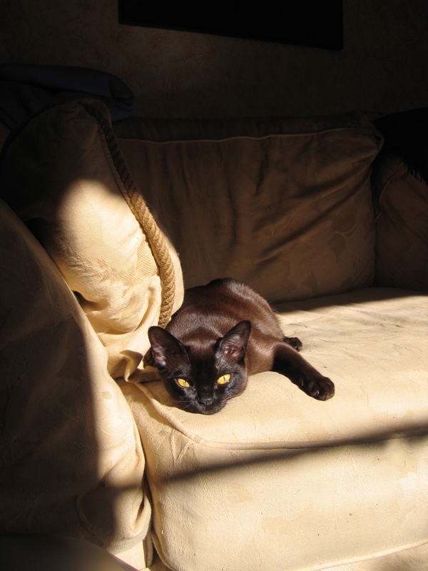 Sylvie in the sun