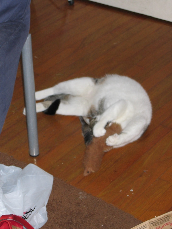 Floor exercises