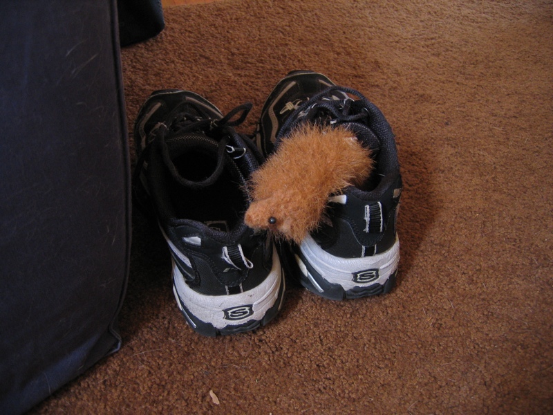 Put your toys away