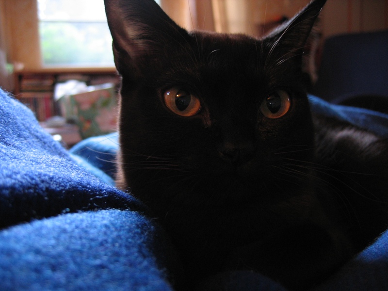 Big eyes