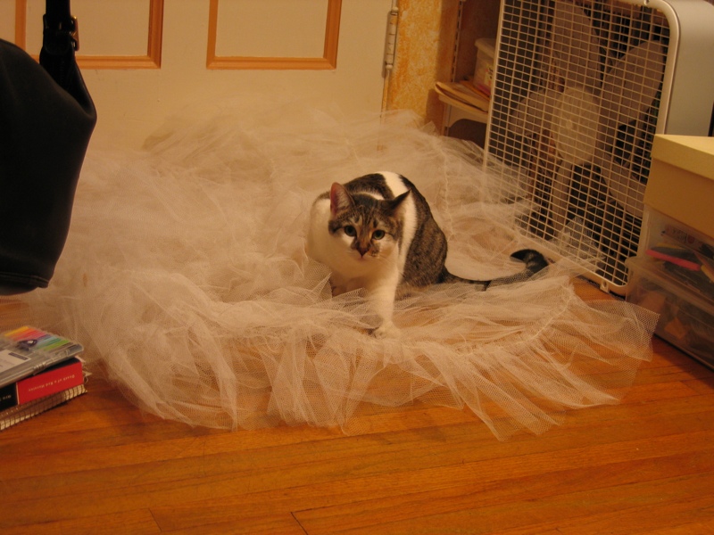 Tulle!
