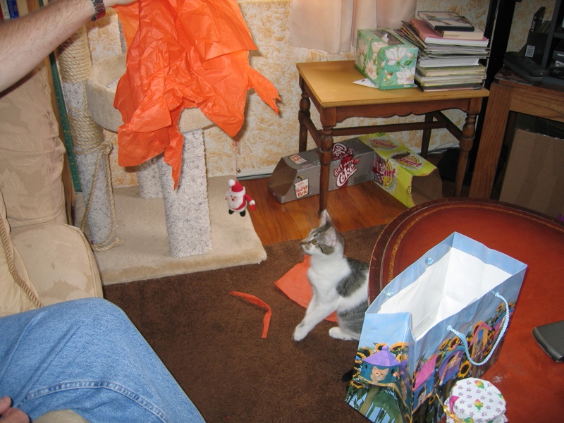 Fun With Tissue Paper, part 2