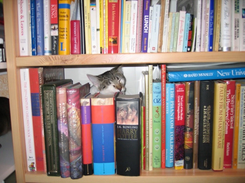 Literary Kitty, part 1