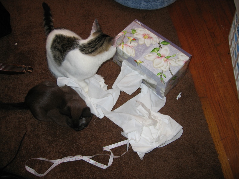 "Look what we did all by ourselves!"