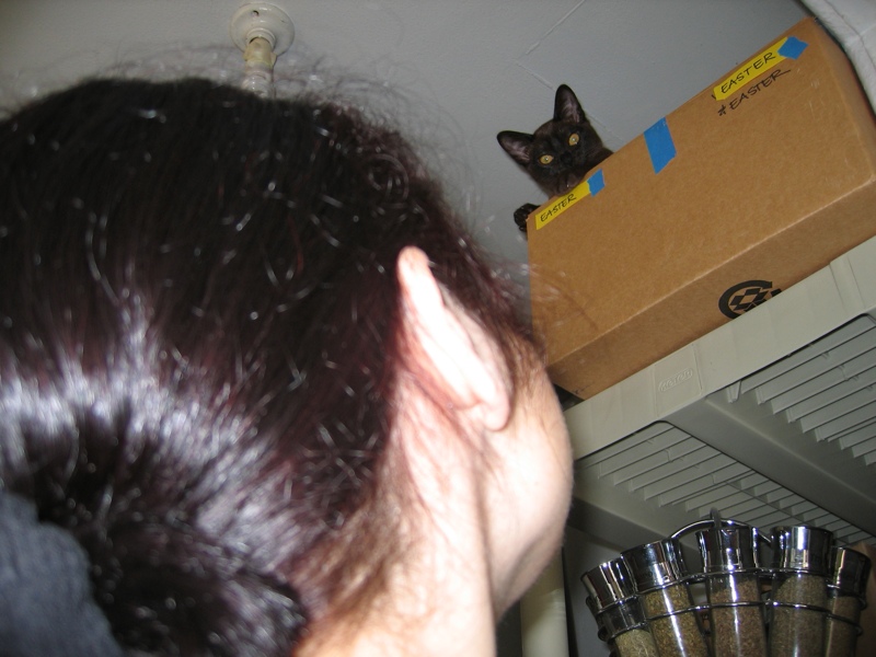 "Did you need me to get you anything while I'm up here?"