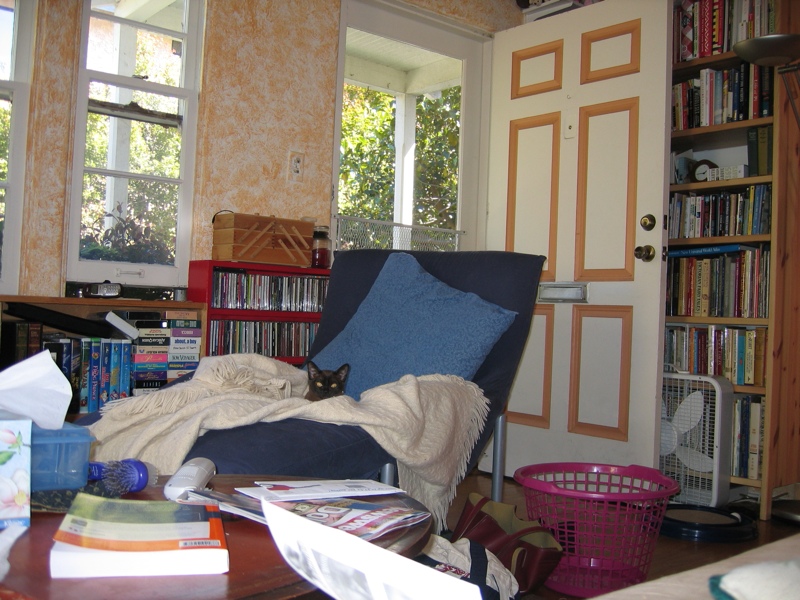 Demon kitty haunts the blue chair