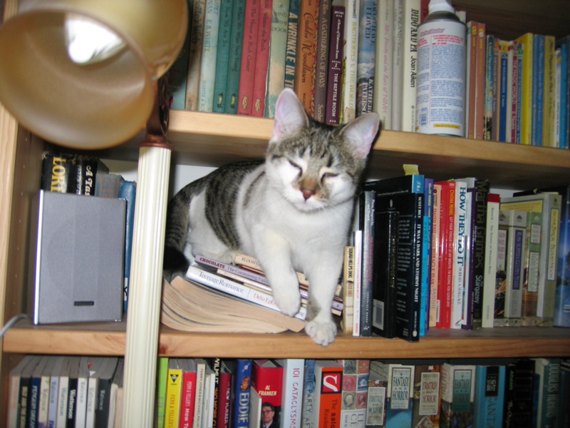 Literary Mirabelle