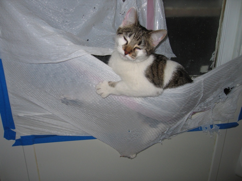 Window treatment, part 1