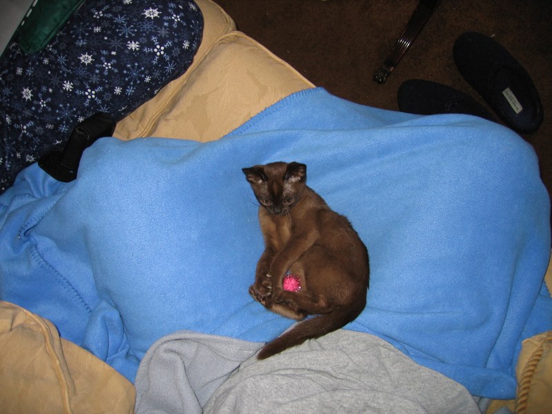 Sparkle ball