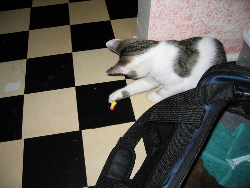 Mirabelle's favorite prey (1)