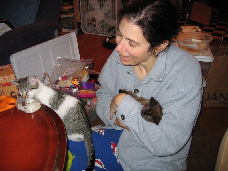 Helping Elinor 2