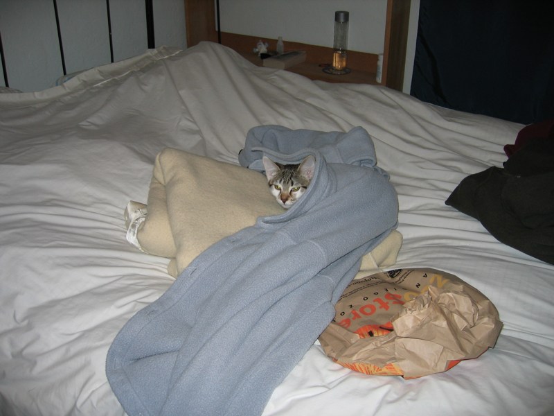 Nesting