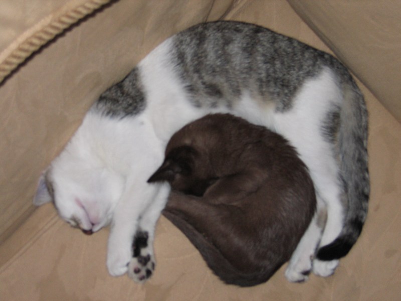 Together 2